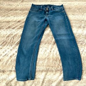 Soho NY and Co Curve Creator Jeans